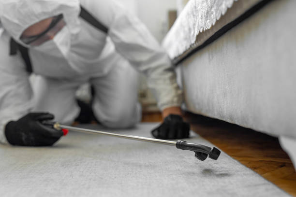 Professional Ant Control technician working in Port Lavaca, TX